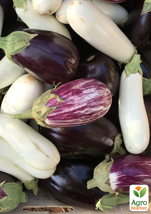 

Комплект насіння баклажанів баклажановий космос 5уп