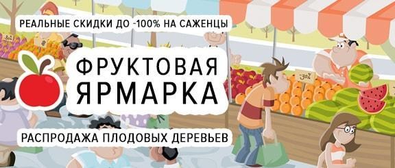 Фруктовая ярмарка: широкий ассортимент плодовых и ягодных саженцев со скидкой до -100% Фруктовая ярмарка: широкий ассортимент плодовых и ягодных саженцев со скидкой до -100%