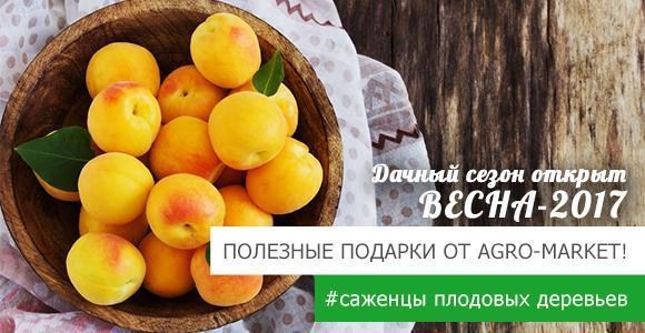 Горячее предложение от Agro-Market! Горячее предложение от Agro-Market!