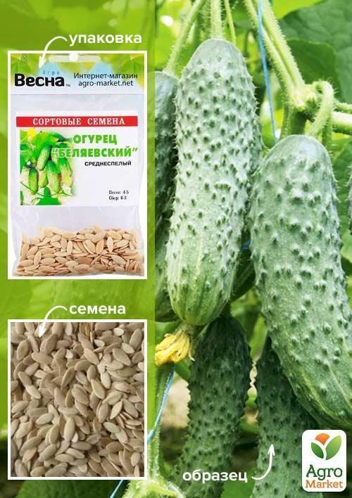 

Огурец "Беляевский" (Зипер) ТМ "Весна" 2г