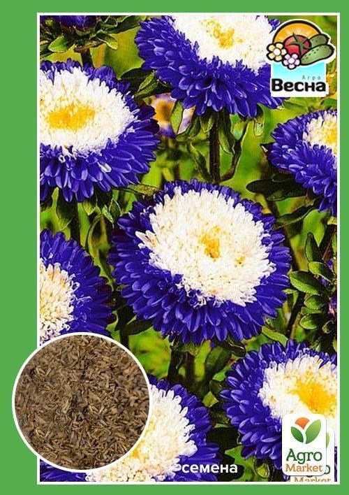 

Астра Созвездие ТМ Весна 0.2г