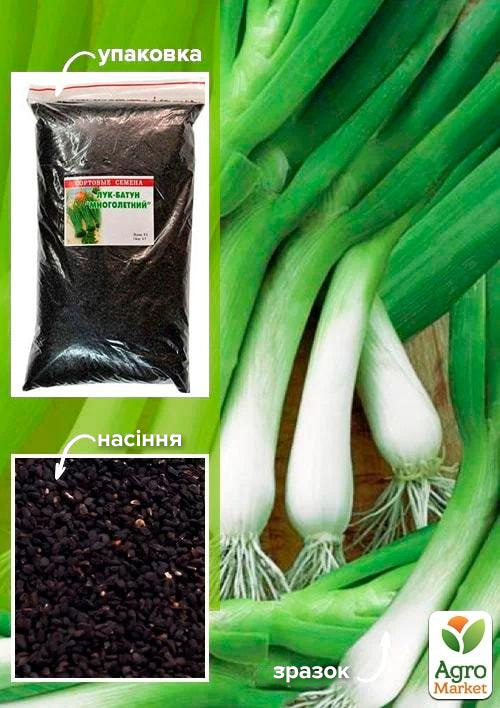 Лук "Батун" ТМ "Весна" 500г