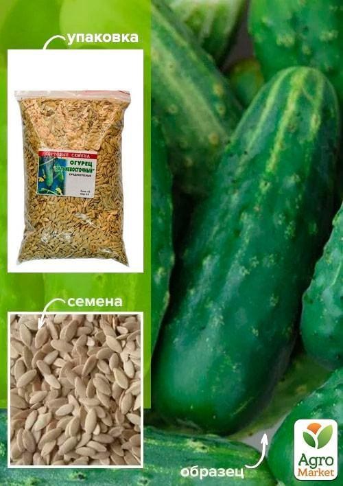 

Огурец Дальневосточный ТМ Весна 500г