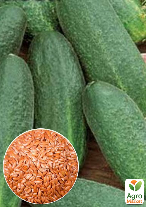 

На развес Огурец Фасон F1 ТМ Весна цена за 3г