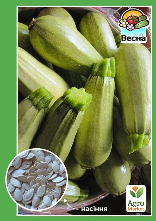 

Кабачок Грибовский 37 ТМ Весна 2г