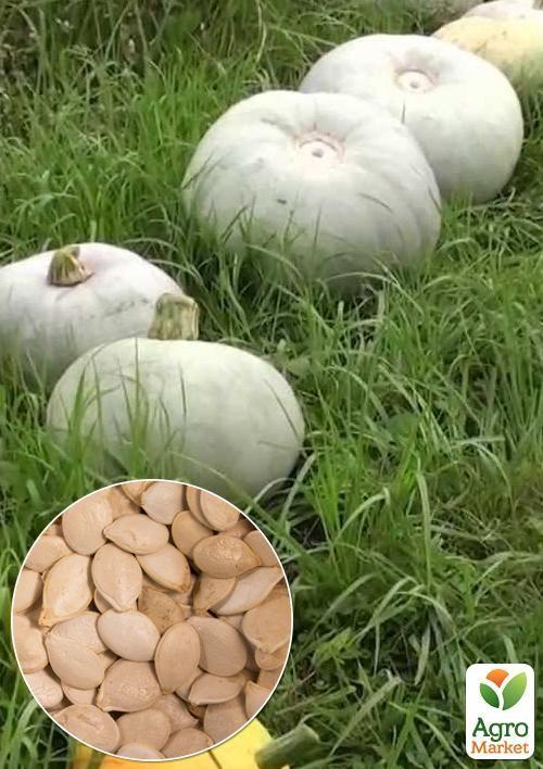 

На вагу Гарбуз Лікувальний ТМ Весна ціна за 10г