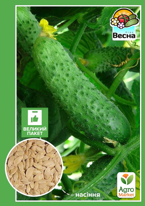

Огірок Паризький корнішон (Великий пакет) ТМ Весна 2г