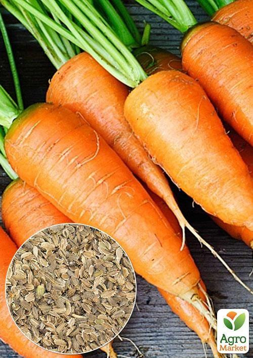 

На вагу Морква Артек ТМ Весна ціна за 10г