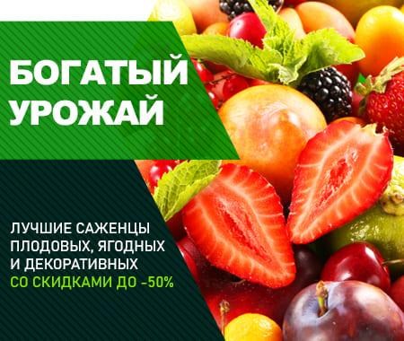 Акция! Скидки до -50% Акция! Скидки до -50%
