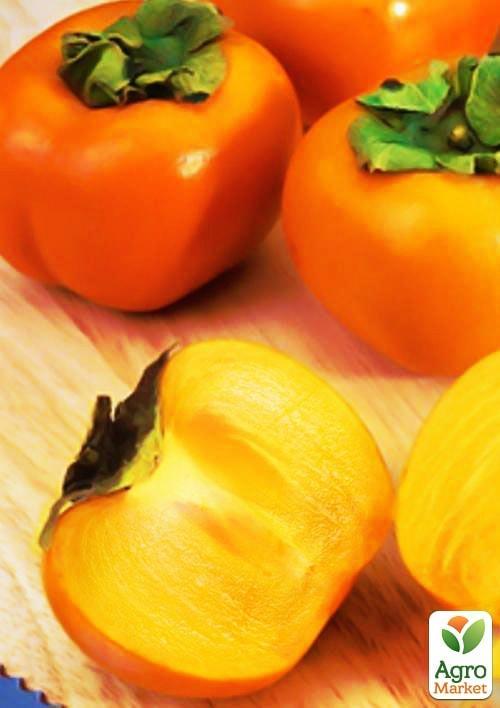 

Хурма на віргінській морозостійкій підщепі Віргінська великоплідна вищий сорт!