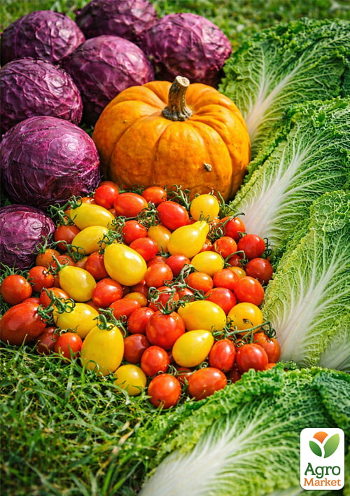 

Комплект овощей на развес День урожая 15уп