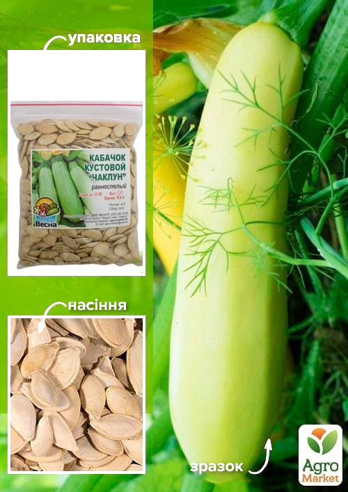 

Кабачок Чаклун ТМ Весна 100г