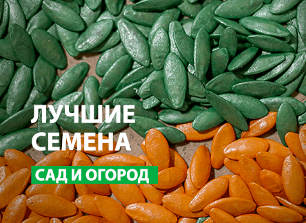 Что посеять в новом сезоне: обзор семян
