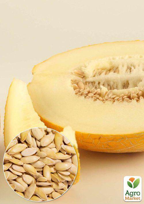 

На развес Дыня Медовый аромат ТМ Весна цена за 5г