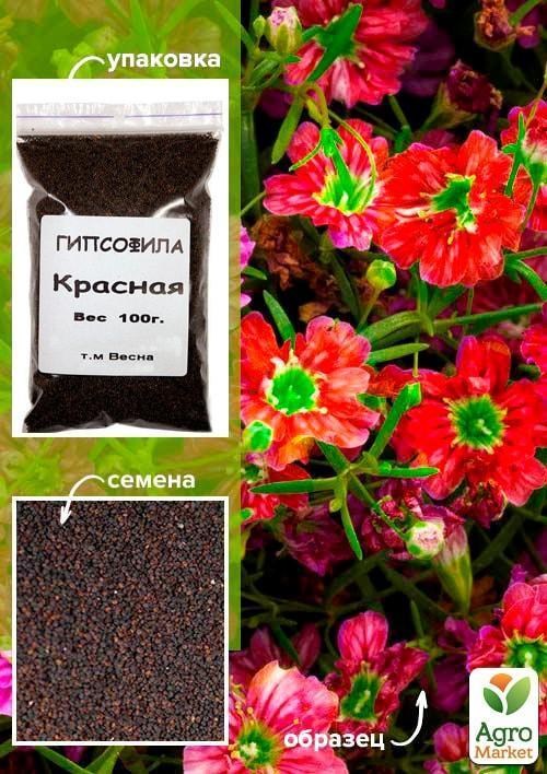 

Гипсофила красная ТМ "Весна" 100г