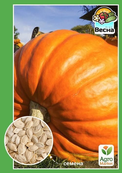 

Тыква Стофунтовая ТМ Весна 2г