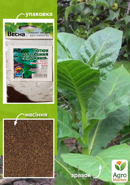 

Насіння Тютюн для паління Вірджинія (Зипер) ТМ Весна 0.5г