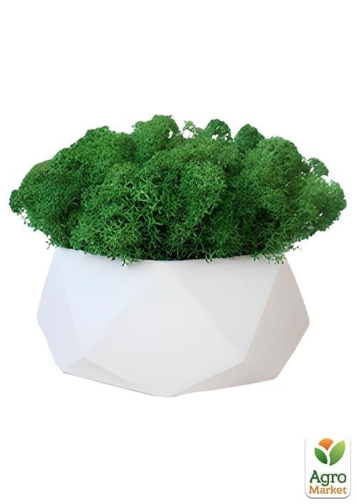 

Стабилизированный мох "Натурал Грин" в бетонном кашпо "Алмаз" 11х6см