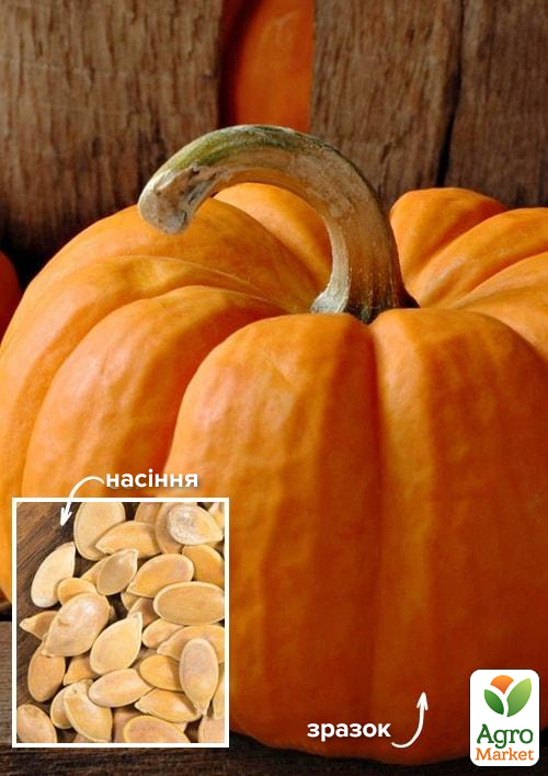 

На развес Тыква Осенний богатырь ТМ Весна цена за 10г