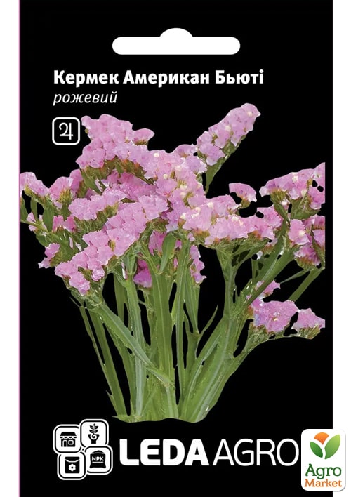

Кермек (статиця) Американ бьюті ТМ Leda Agro 0,15г