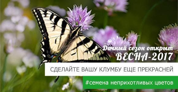 Время дарить скидки! Время дарить скидки!