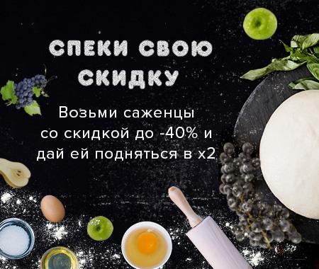 Спеки свою скидку Спеки свою скидку