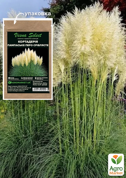 

Кортадерия Пампаское перо серебристое ТМ Vesna Select 0.1г