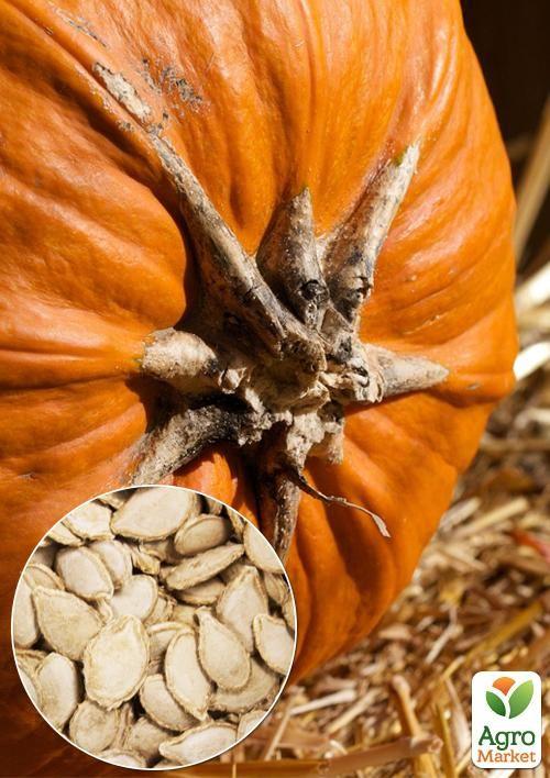 

На развес Тыква Гилея ТМ Весна цена за 15г