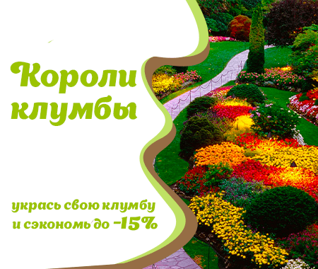 Акция! Короли клумбы Акция! Короли клумбы