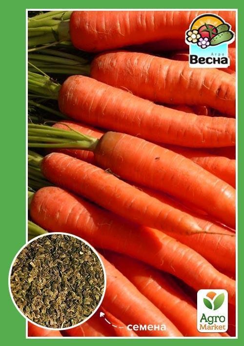 

Морковь "Обжора" (Новый пакет) ТМ "Весна" 2г
