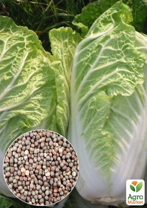 На развес Капуста пекинская "Красотка Китая" ТМ "Весна" цена за 2г