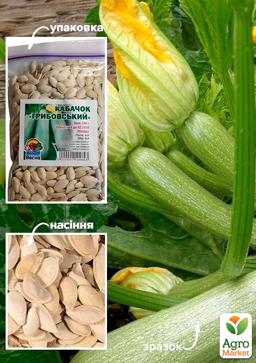 

Кабачки Грибовський ТМ Весна 100г