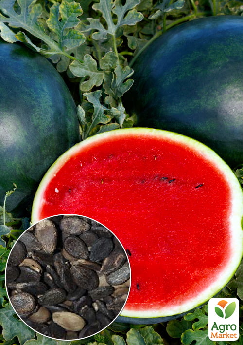 

На развес Арбуз Чародей ТМ Весна цена за 6г