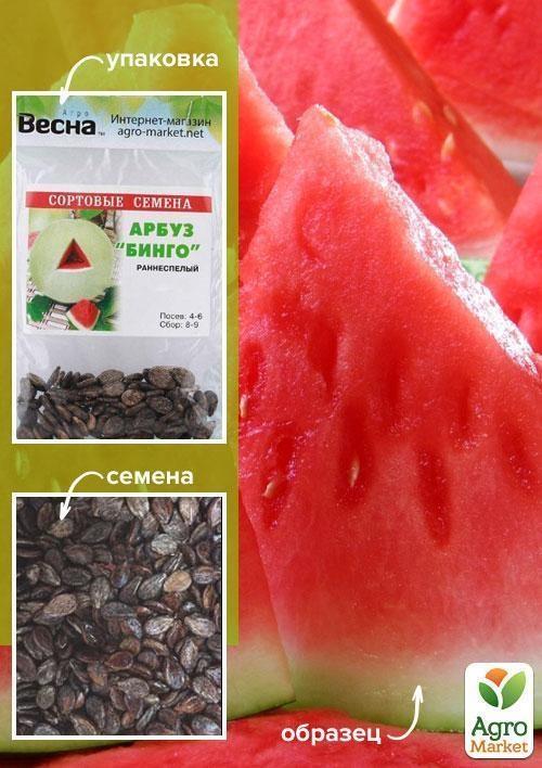 

Арбуз "Бинго" (Зипер) ТМ "Весна" 4г