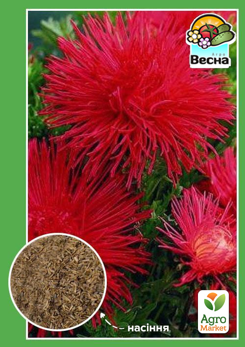 

Астра Красный шар ТМ Весна 0.2г