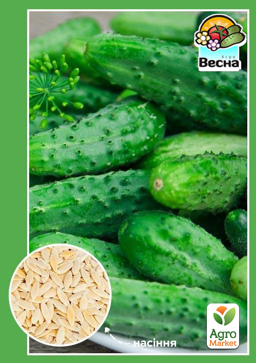 

Огірок Засолочний ТМ Весна 0.5г