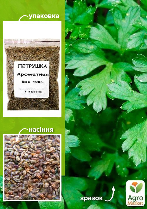 

Петрушка Ароматная ТМ Весна 100гр