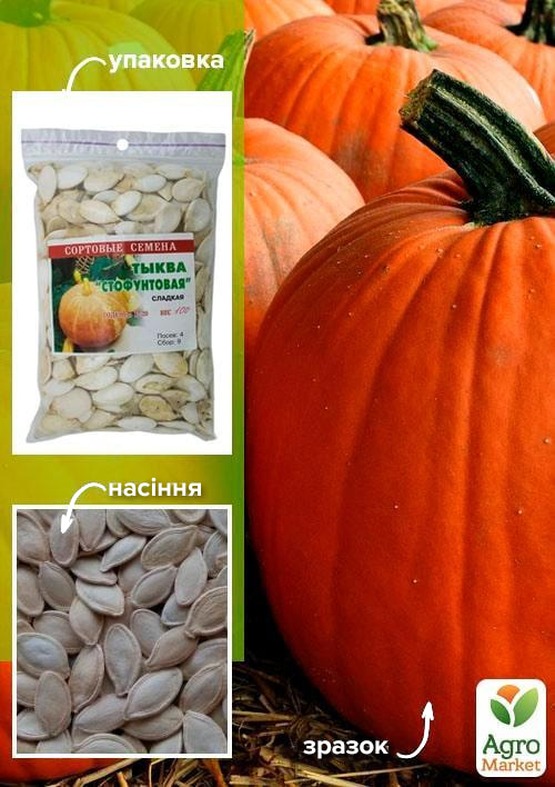 

Тыква Стофунтовая ТМ Весна 100г