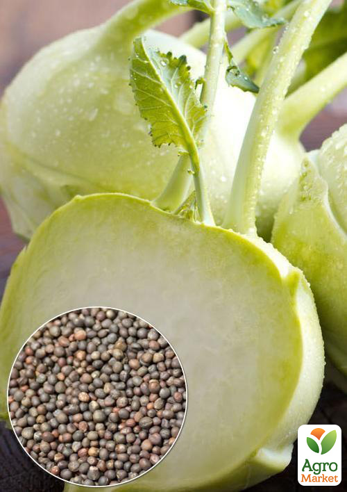 

На развес Капуста кольраби Белый Гигант ТМ Весна цена за 2г