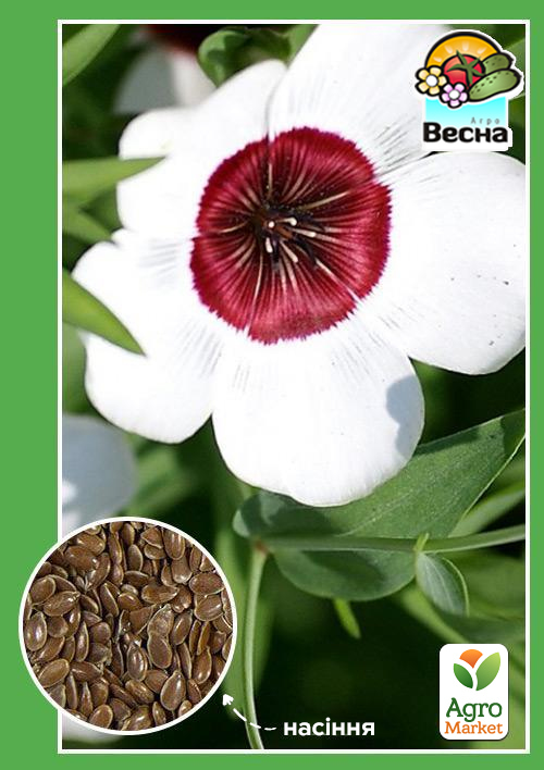 

Лен крупноцветковый Ясные глазки ТМ Весна 0.5г