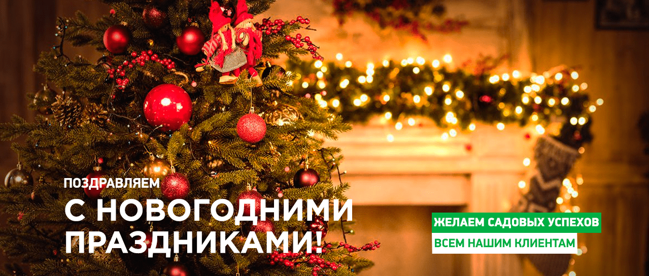 Agromarket поздравляет Вас с новогодними праздниками! Agromarket поздравляет Вас с новогодними праздниками!