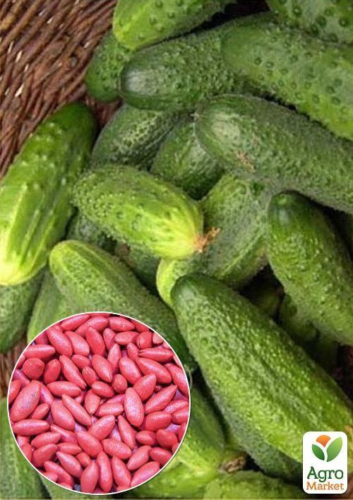 

На развес Огурец Метеор F1 ТМ Весна цена за 2г