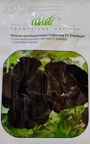 

Петуния Софистика блекбери F1 ТМ Hem Zaden 8шт