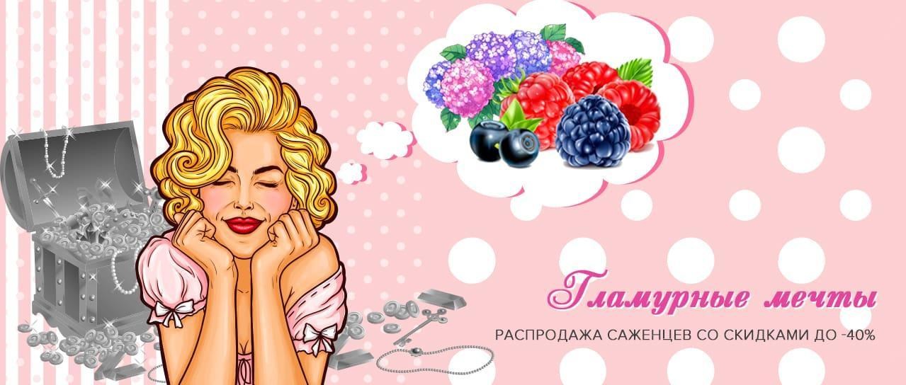 Гламурные мечты Гламурные мечты