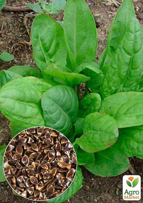 

На вагу Щавель Чемпіон ТМ Весна ціна за 6г