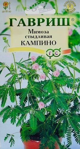 

Мимоза стыдливая "Кампина" ТМ "Гавриш" 0.1г