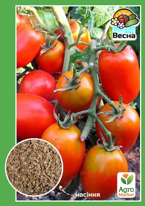 

Томат Фітофторостійкий ТМ Весна 0.2г