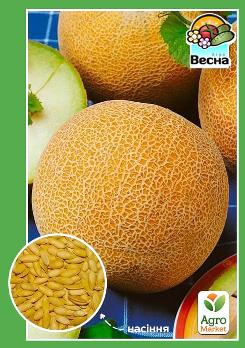

Диня Колгоспниця ТМ Весна 1.5г