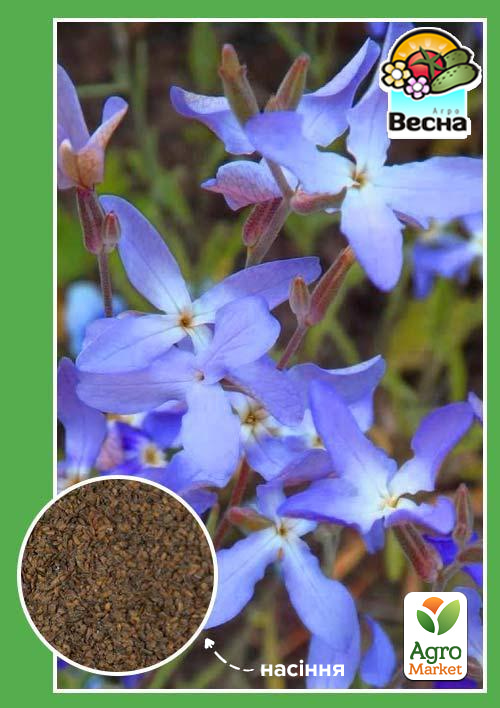 

Матіола Вечірній аромат ТМ Весна 1г