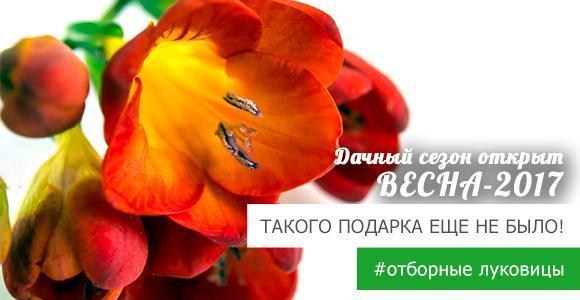 Получайте 35 грн в подарок! Получайте 35 грн в подарок!